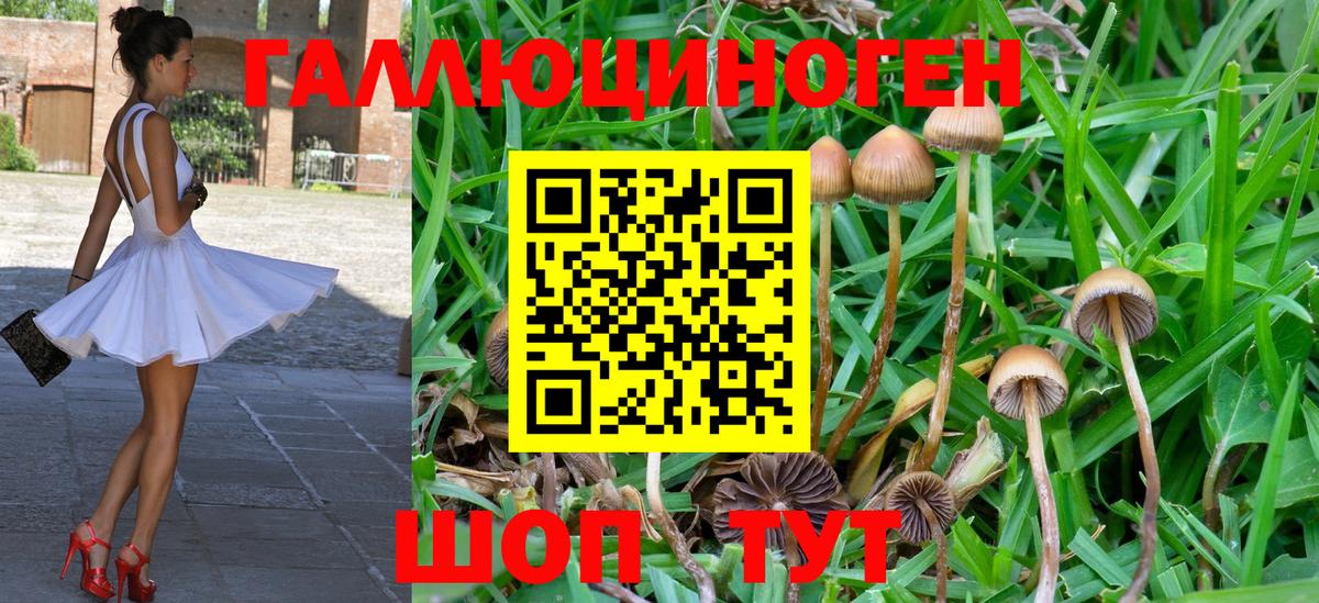 Ялта  Псилоцибиновые грибы GOLDEN TEACHER  Вход с VPN  Галлюциногенные грибы GOLDEN TEACHER 